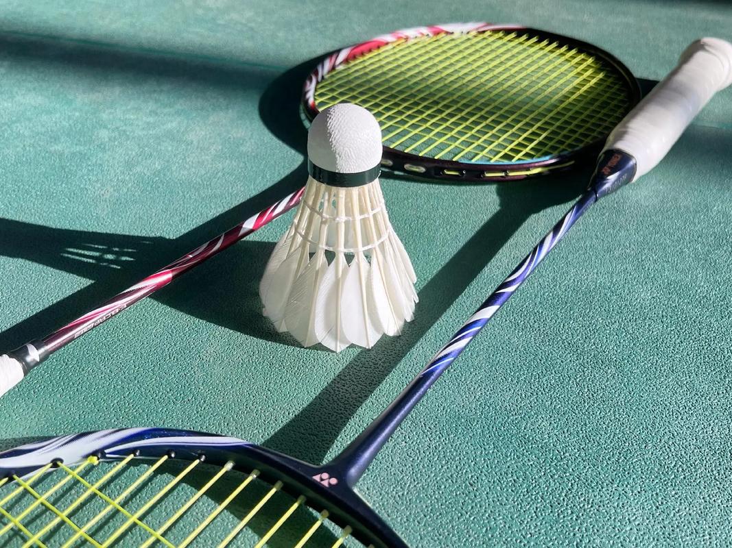 本文强调 本文强调